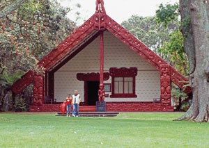 waitanguimarae waitanguimarae